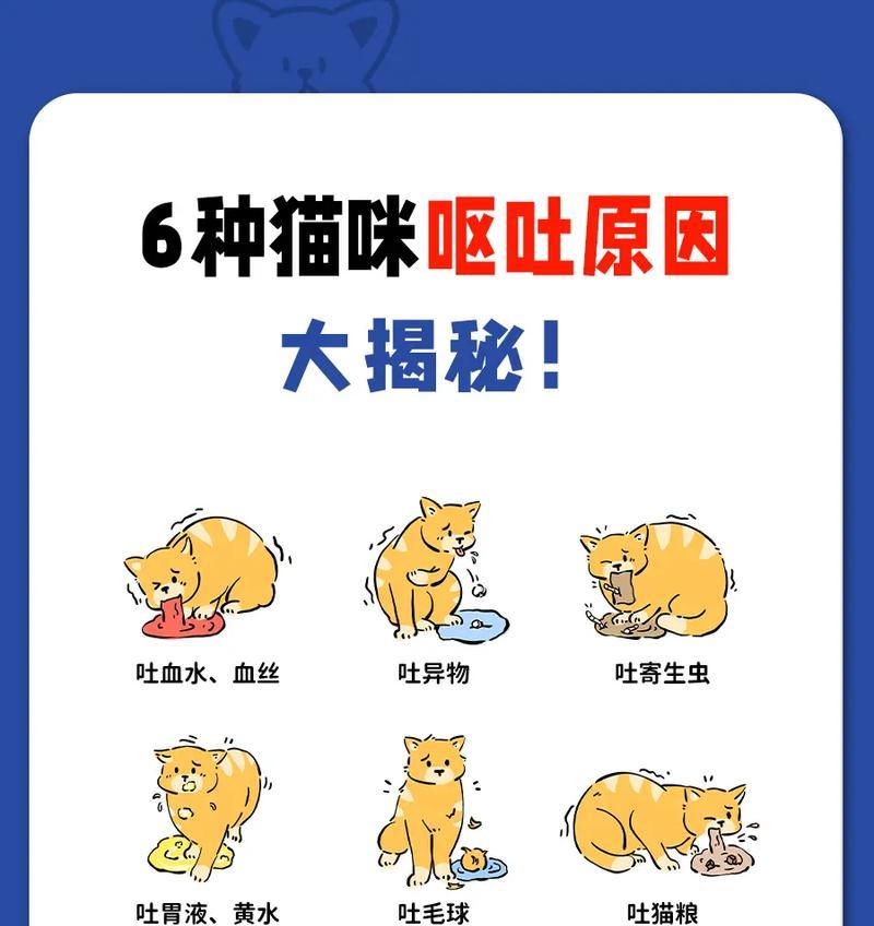 猫吃后几小时吐猫粮怎么回事？猫咪呕吐的原因有哪些？