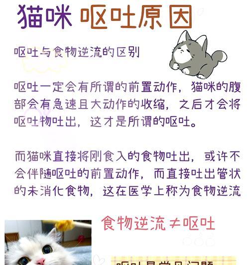 猫吃后几小时吐猫粮怎么回事？猫咪呕吐的原因有哪些？