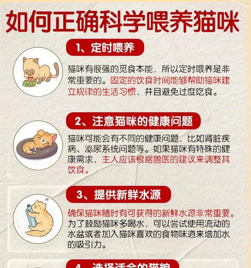猫咪喂食猫粮是否合适？原因是什么？