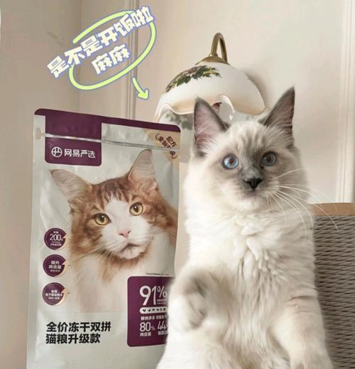 小猫咪适合的猫粮品牌是什么？