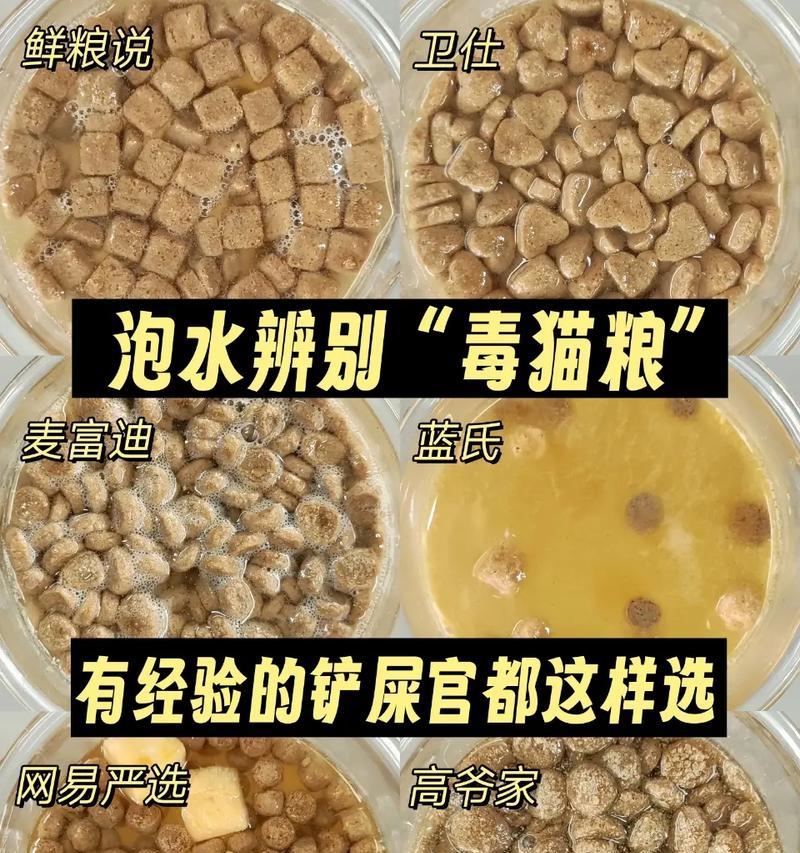 猫粮上有油正常吗怎么办？如何判断猫粮是否变质？