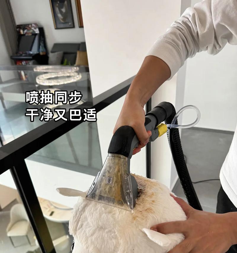 毛绒清洗剂清洗羊驼的方法是什么？