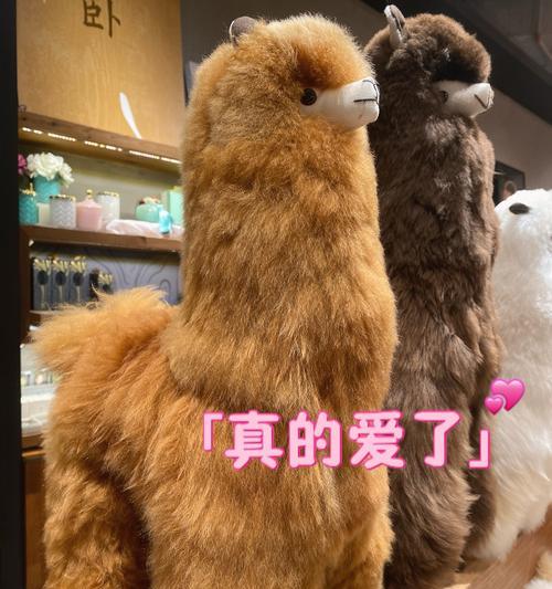 毛绒清洗剂清洗羊驼的方法是什么？