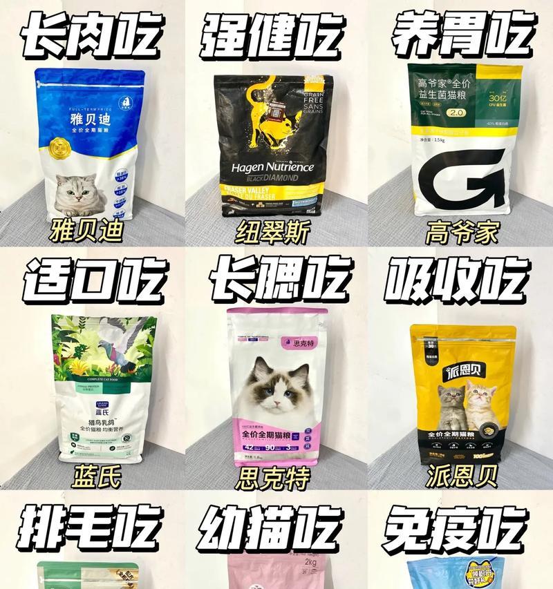哪里可以买到猫粮？宠物店还是超市？
