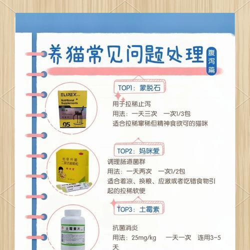 猫咪吃猫粮后拉屎臭怎么办？需要服用什么药物？
