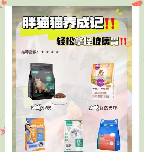 猫咪吃猫粮后拉屎臭怎么办？需要服用什么药物？