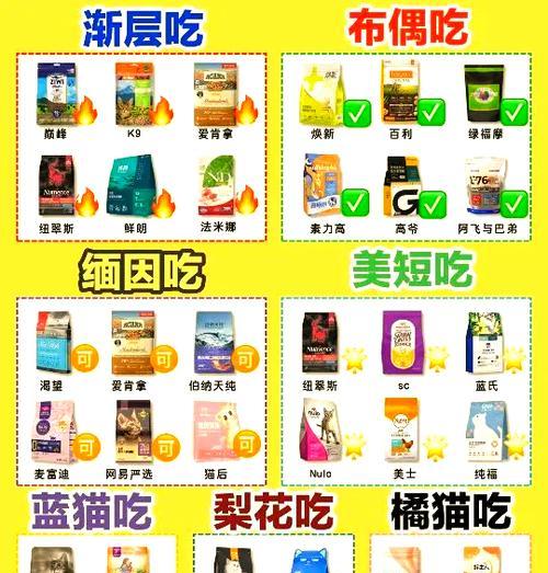 大型猫笼子和猫粮的选购指南是什么？