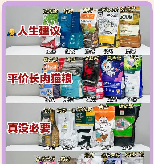 大型猫笼子和猫粮的选购指南是什么？