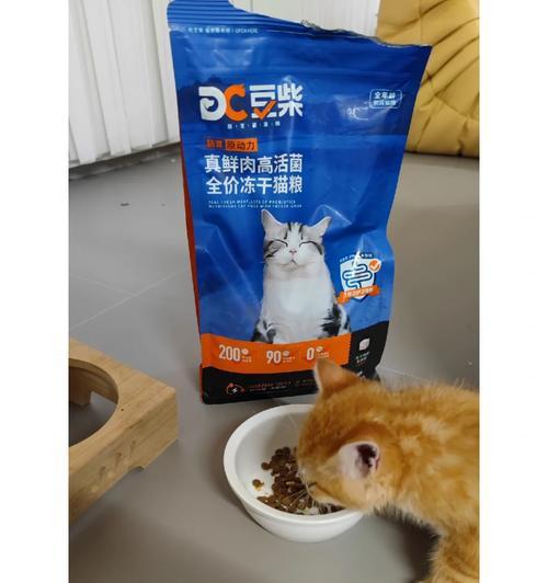 幼猫猫粮卡喉有哪些症状？