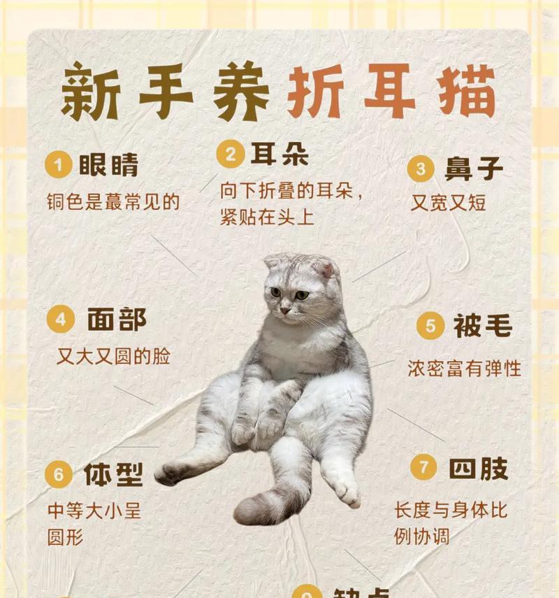 猫粮会导致猫咪折耳吗？