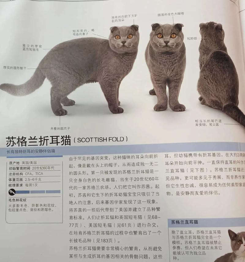 猫粮会导致猫咪折耳吗？