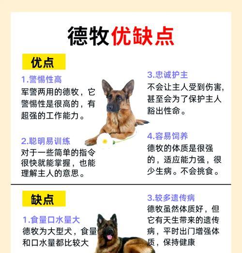 三月大的德牧体重标准是多少？如何监测德牧的健康体重？