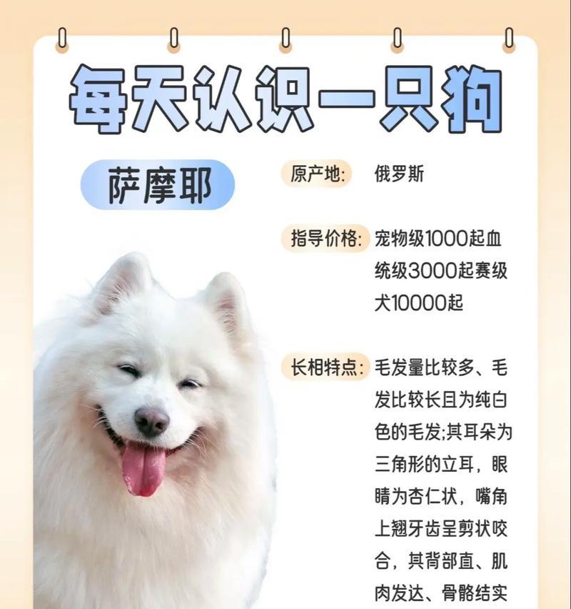 萨摩和德牧跑5公里的费用是多少？