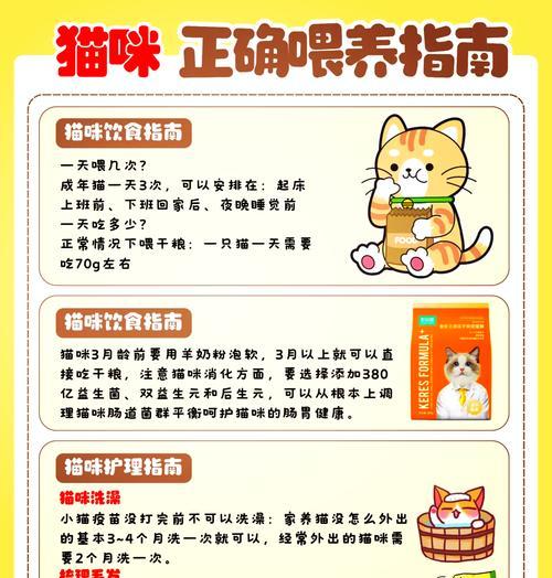 不换粮的猫粮如何正确喂养？