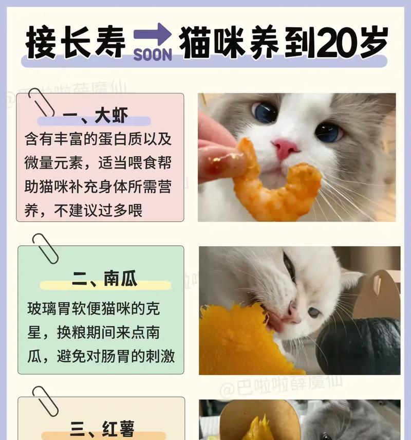 猫粮吸收营养的原理是什么？从小给猫喂混合猫粮会怎么样？