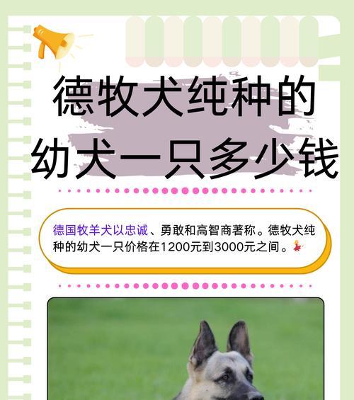 德牧幼犬10斤需要几个月？体重增长速度如何？