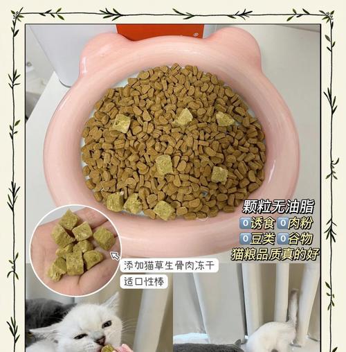 猫粮是否真的用小鸡制作？背后的原因是什么？