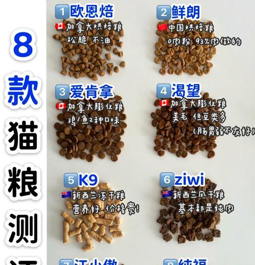 不爱动的猫适合哪种猫粮？如何选择合适的猫粮？