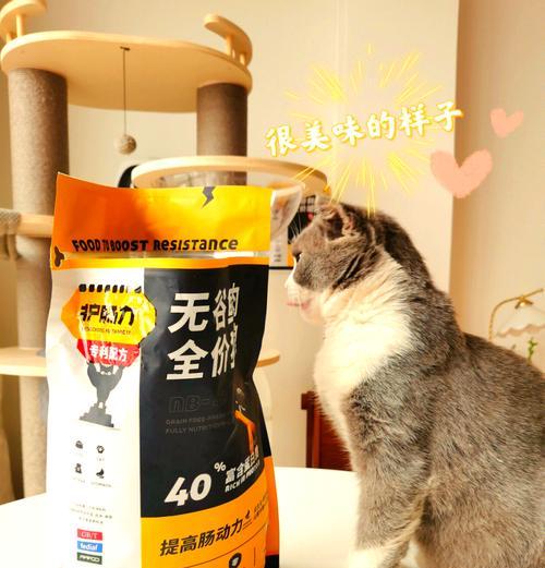 猫粮放粮器工作时声音大吗？探究放粮器噪音产生的原因。