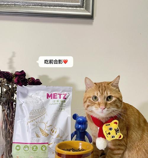 猪猫吃什么猫粮？猪猫的饮食习惯有何特殊性？