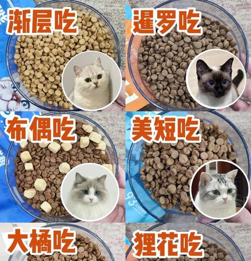 猫吃什么猫粮可以避免嘴巴臭和拉稀？