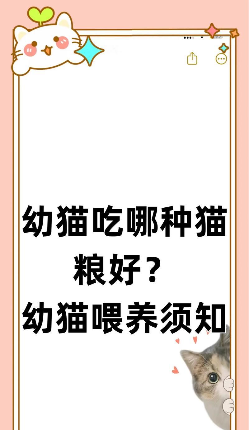 孩子喂猫粮时应注意哪些事项？如何教育孩子正确喂养宠物？
