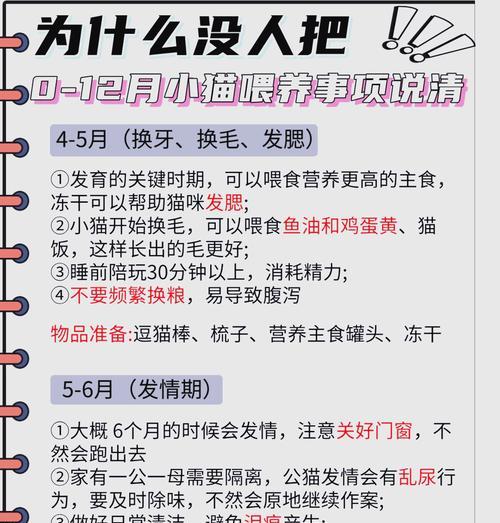 孩子喂猫粮时应注意哪些事项？如何教育孩子正确喂养宠物？