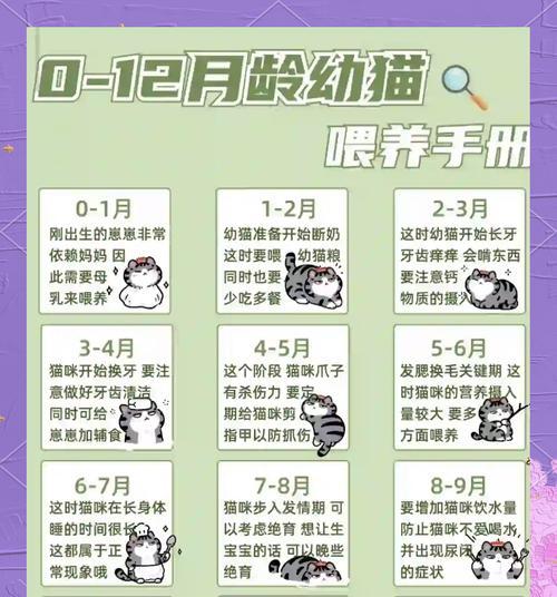孩子喂猫粮时应注意哪些事项？如何教育孩子正确喂养宠物？
