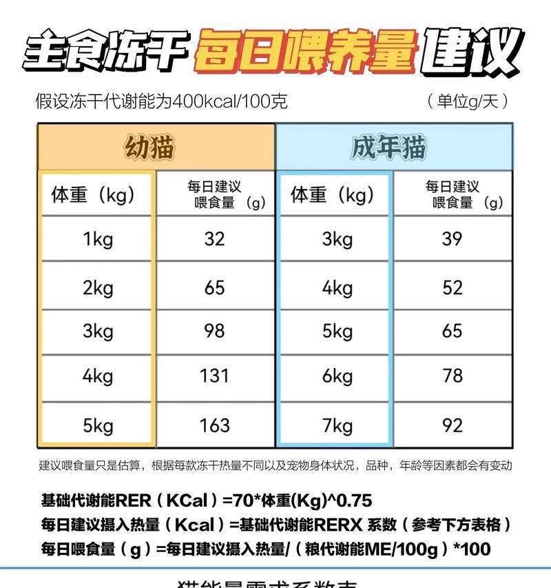 如何将猫条转换为猫粮喂食？