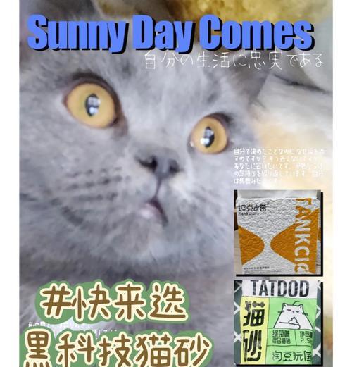 猫砂除臭珠的工作原理是什么？有效果吗？