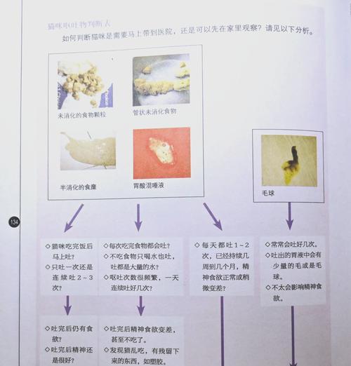 猫咪长大后拒食猫粮的原因是什么？