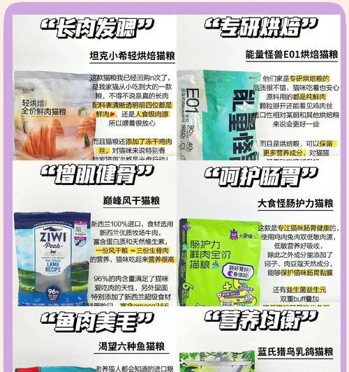 宠伊味猫粮的市场定位和档次如何？