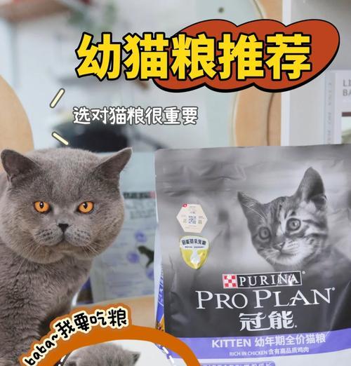 幼猫十五天大适合吃什么猫粮？如何选择？