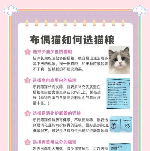 布偶猫新主人如何换猫粮？换猫粮时应注意什么？