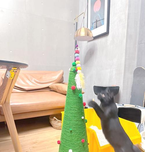 自制猫粮储存桶的制作方法？如何确保猫粮新鲜？
