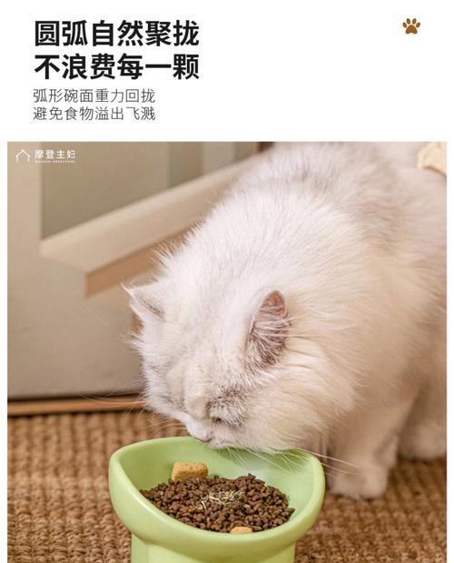 猫碗如何正确装粮？喂食猫咪的正确方法是什么？