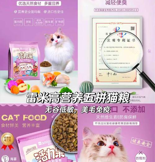 十一个月无毛猫应吃什么猫粮？营养需求如何满足？
