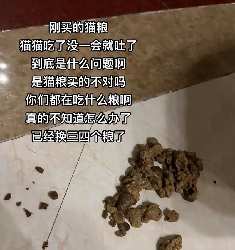 猫粮苦涩是质量问题吗？可能的原因是什么？