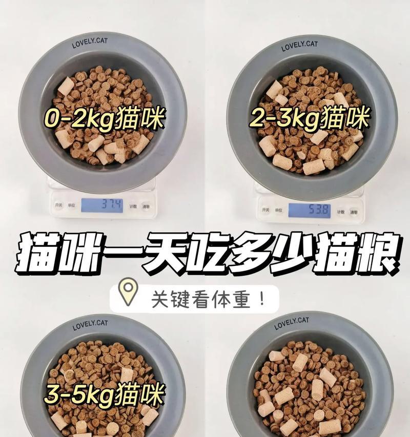 小猫吃猫粮后发抖是什么原因？