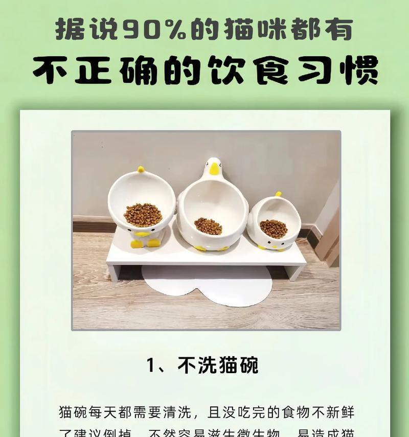 幼猫不主动吃强喂猫粮怎么办？如何培养幼猫的饮食习惯？