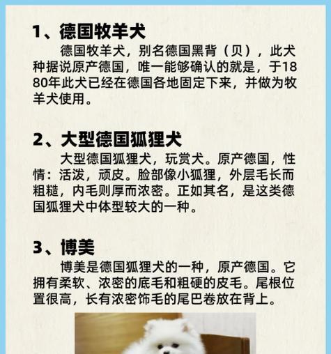 德牧多少岁还能生小狗？老年德牧繁殖能力如何？