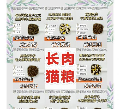 哪些平价猫粮适合容易长肉的猫咪？如何选择？