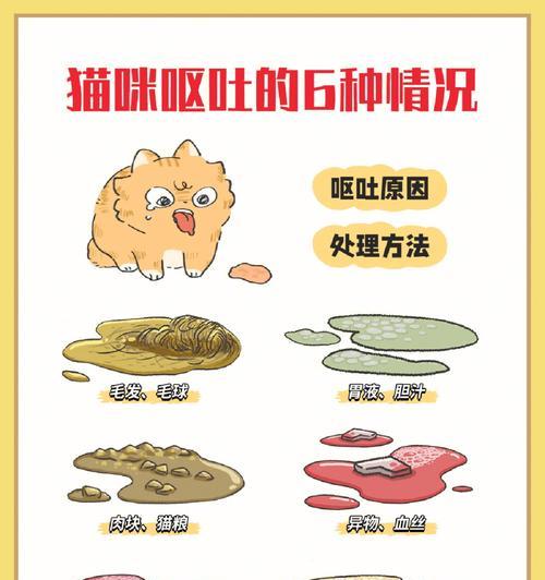 猫呕吐才吃的猫粮怎么办？猫咪呕吐后如何调整饮食？
