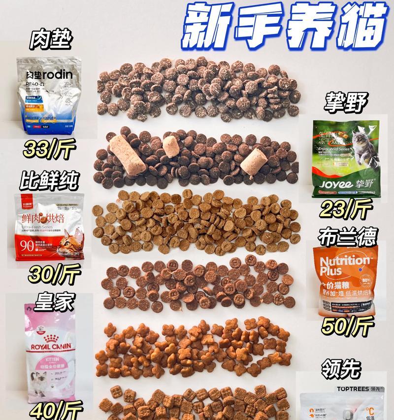 有哪些食物可以作为猫粮的替代品？