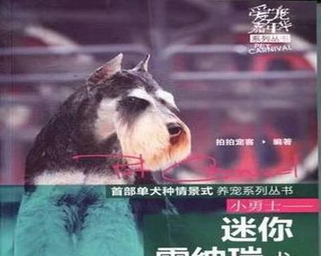 雪纳瑞公犬发情期多少天？过度粮是什么猫粮？
