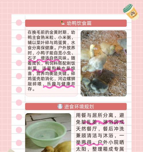 鸭子为何会喜欢吃猫粮？