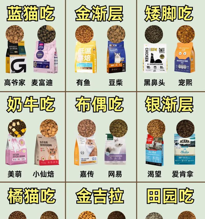 没有猫粮猫应该吃什么？猫咪的替代食物有哪些？