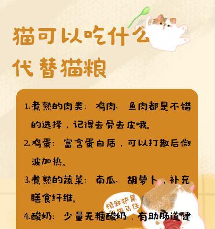没有猫粮猫应该吃什么？猫咪的替代食物有哪些？