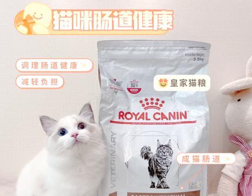 猫胃肠道处方粮有何特别之处？它适合哪些猫咪？