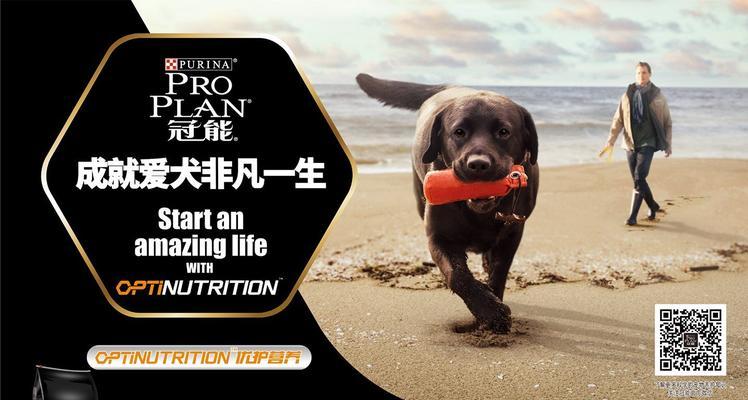 雀巢猫粮的广告语有何特点？如何影响消费者？